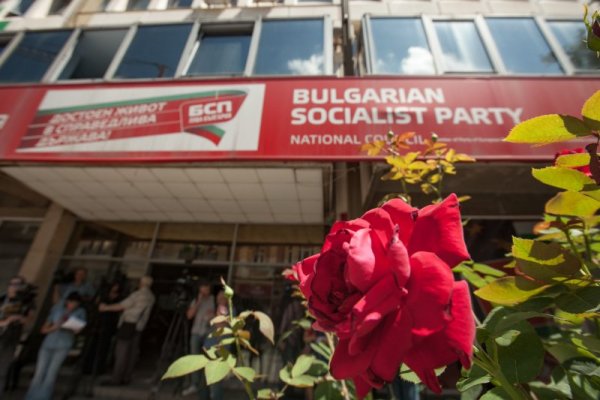 Снимка: Димитър Кьосемарлиев, Dnes.bg