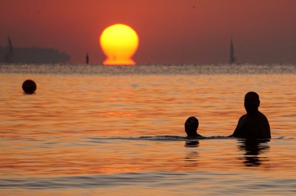 Снимка: "Булфото"