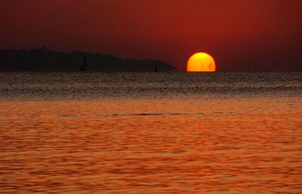 Снимка: "Булфото"