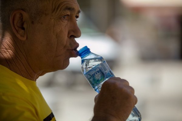 Снимка: Димитър Кьосемарлиев, Dnes.bg