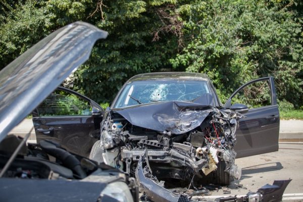 Снимка: Димитър Кьосемарлиев / Dnes.bg