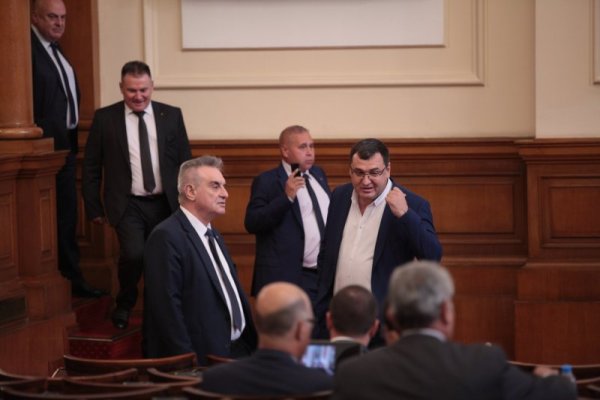 Снимка: Димитър Кьосемарлиев,Dnes.bg