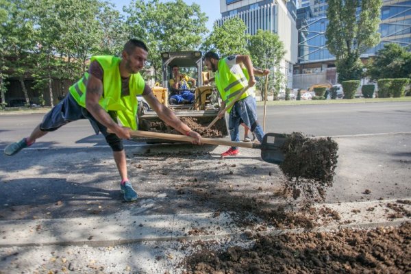 Снимка: Димитър Кьосемарлиев, Dnes.bg