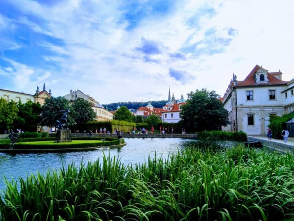 Скрита градина