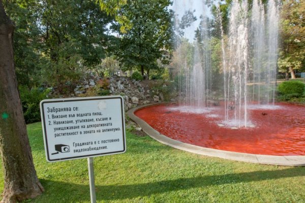 Снимка: Димитър Кьосемарлиев, Dnes.bg
