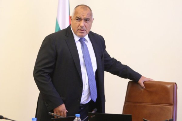 Снимка: Димитър Кьосемарлиев, Dnes.bg