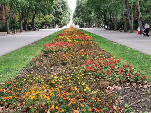 Община Варна публикува три проектодокумента, свързани с въвеждането на нови правила за достъп в Морската градина. Така чрез актуализацията на Генералния план за организация на движението на територията на Община Варна, приета от Общинския съвет, се въвежда забрана за достъп и контролиран достъп. Снимка: Булфото
