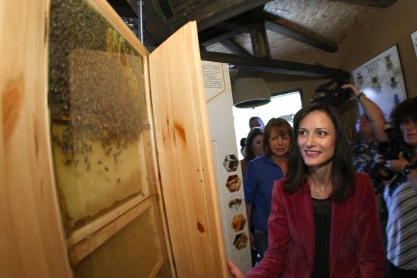 Снимка: Димитър Кьосемарлиев, Dnes.bg