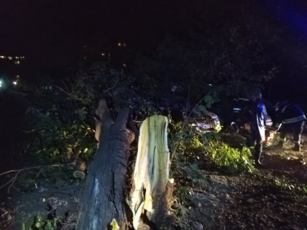 Снимка: Dnes.bg