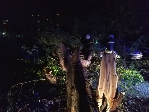 Снимка: Dnes.bg