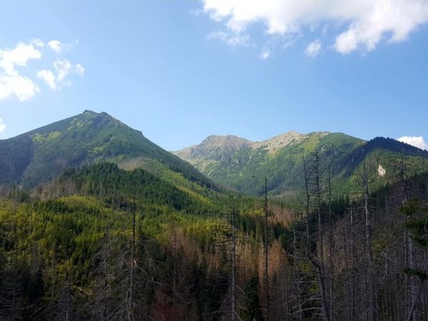 Планината възнаграждава с красиви гледки. Снимка: Dnes.bg
