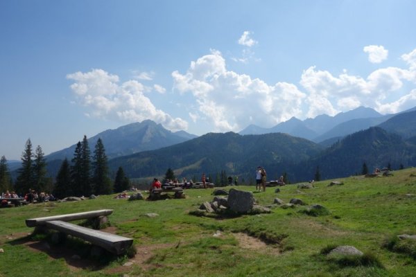 Кратка почивка на широка поляна с уникална гледка. Снимка: Dnes.bg