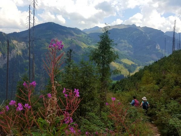 Поглед от "ниското". Снимка: Dnes.bg