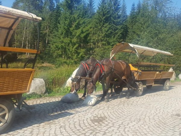 Кончета на помощ на туриста! Снимка: Dnes.bg