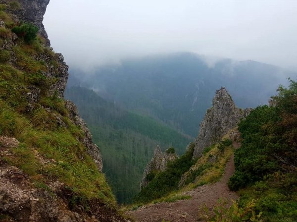 Гледка от Сърна скала - популярен и сравнително лесен маршрут. Снимка: Dnes.bg