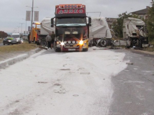 Снимка: Булфото