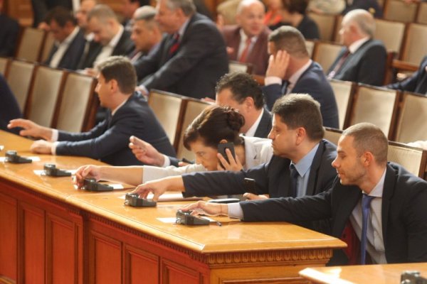 Снимка: Димитър Кьосемарлиев, Dnes.bg