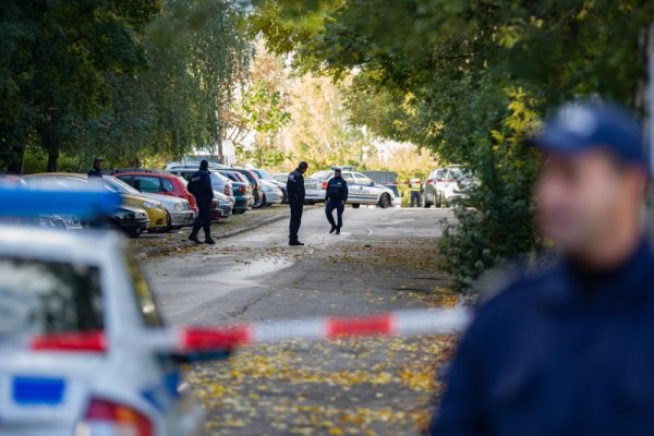 Снимка: Димитър Кьосемарлиев, Dnes.bg