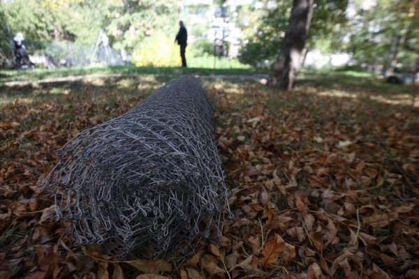 Снимка: Димитър Кьосемарлиев, Dnes.bg