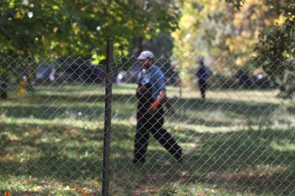 Снимка: Димитър Кьосемарлиев, Dnes.bg