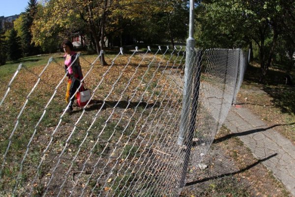 Снимка: Димитър Кьосемарлиев, Dnes.bg