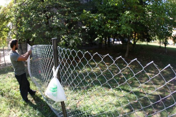 Снимка: Димитър Кьосемарлиев, Dnes.bg