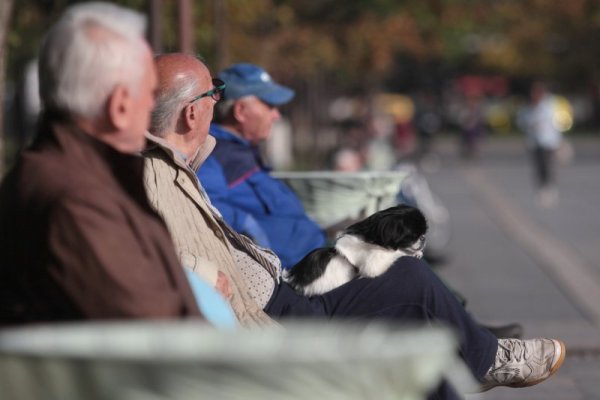 Снимка: Димитър Кьосемарлиев, Dnes.bg
&nbsp;