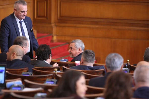 Снимка: Димитър Кьосемарлиев, Dnes.bg