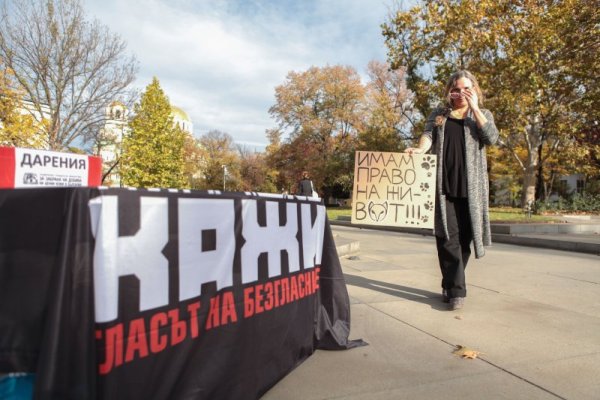 Снимка: Димитър Кьосемарлиев, dnes.bg