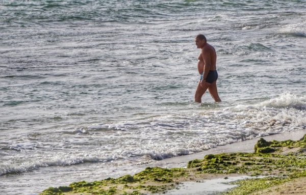 Снимка: Булфото