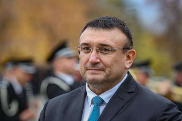 Снимка: Димитър Кьосемарлиев, Dnes.bg