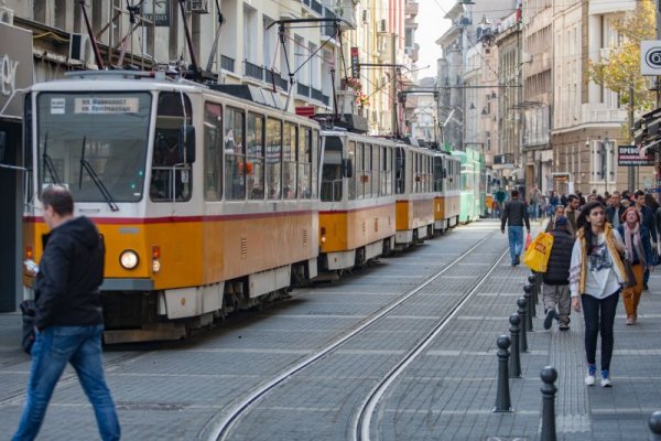 Снимка: Димитър Кьосемарлиев, Dnes.bg