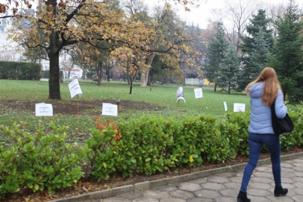 Снимка: Димитър Кьосемарлиев, Dnes.bg