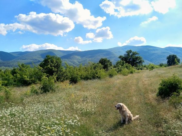 Снимка: Павел Гълъбов