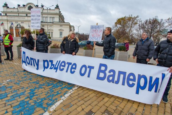 Снимка: Димитър Кьосемарлиев, Dnes.bg