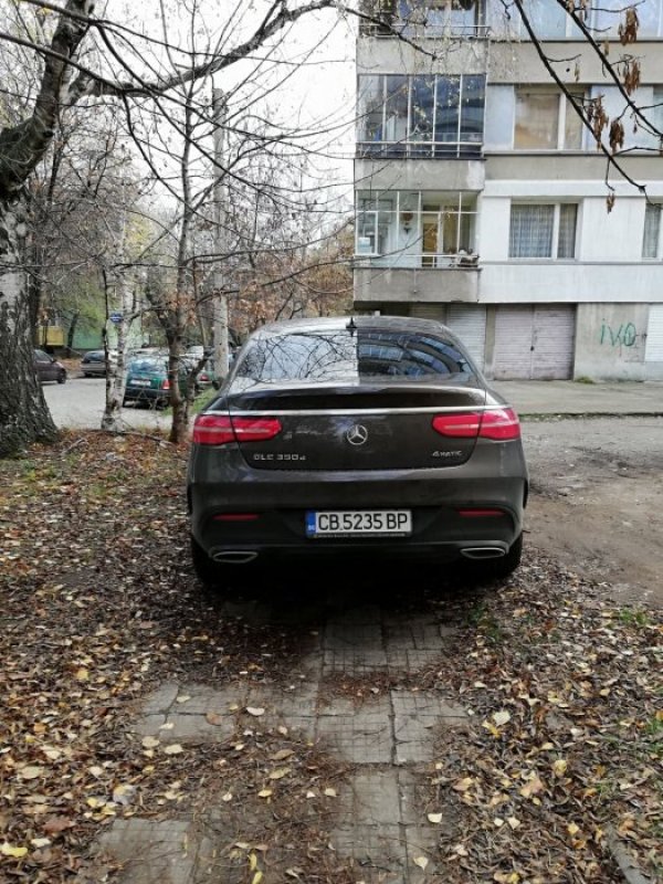 Снимка: Helpbook