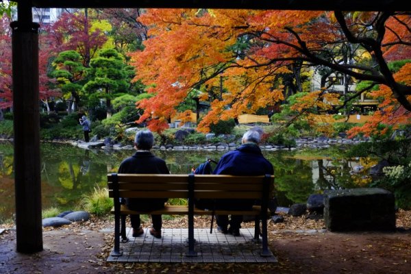 Есенна красота от парк в Токио. Снимка: БТА
