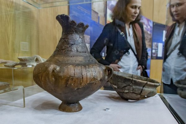 Снимка: Димитър Кьосемарлиев, Dnes.bg