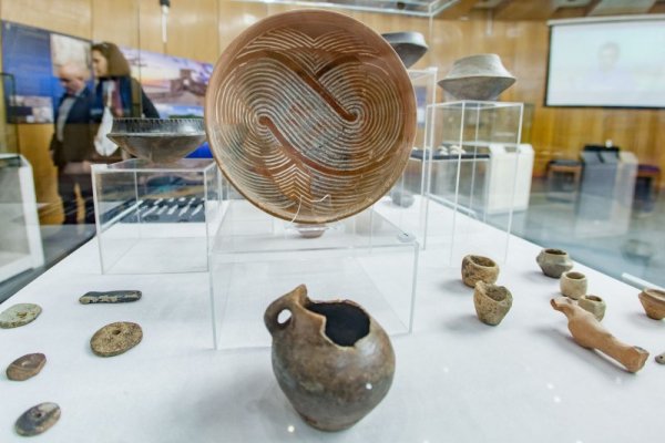 Снимка: Димитър Кьосемарлиев, Dnes.bg