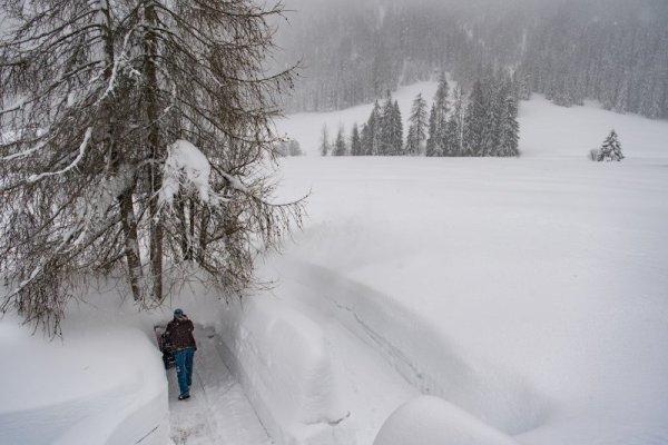 Мъж се опитва да проправи път с помощта на малък снегорин от дома си към улица в планинско село, намиращо се в близост до швейцарския курорт Давос. Снимка: БТА
&nbsp;