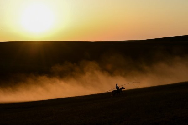 Мъж язди своя кон в поле в китайския автономен регион Вътрешна Монголия. Снимка: БТА
&nbsp;
&nbsp;
&nbsp;
&nbsp;