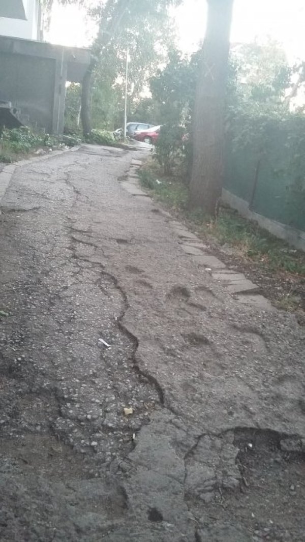 Снимка: Helpbook