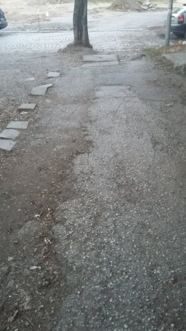 Снимка: Helpbook