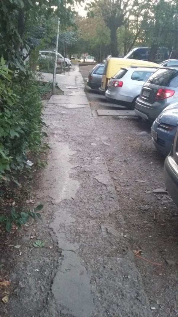 Снимка: Helpbook