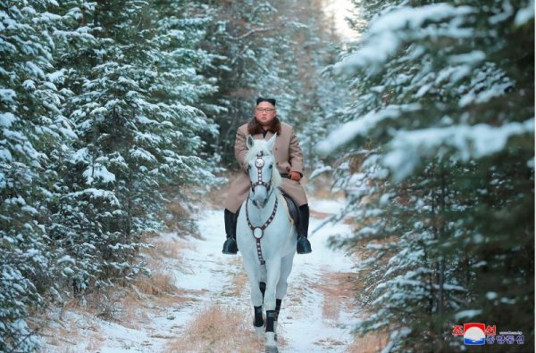 Лидерът на КНДР Ким Чен Ун язди бял кон по време на изкачването си на най-високия връх на Корейския полуостров - планината Пекту, смятана от севернокорейците за свещена. Снимка: БТА