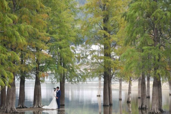 Младоженци се снимат за своята сватбена фотосесия край езеро в китайската провинция Анхуей. Снимка: БТА