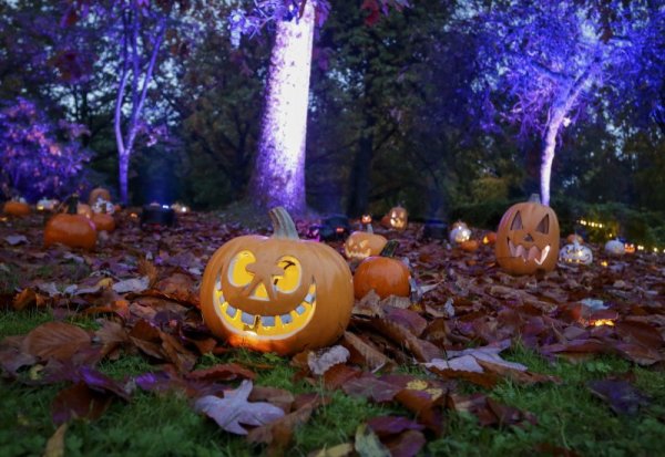 Тиквени фенери красят гора по повод Хелоуин в канадския град Ванкувър. Снимка: БТА