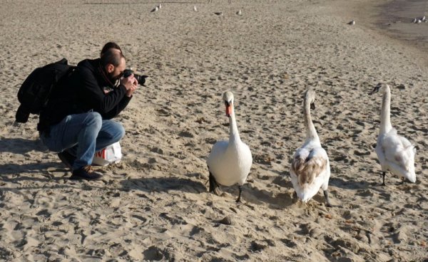 Снимка: Булфото