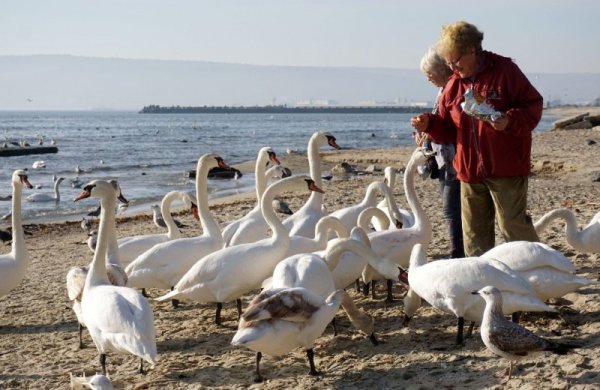 Снимка: Булфото