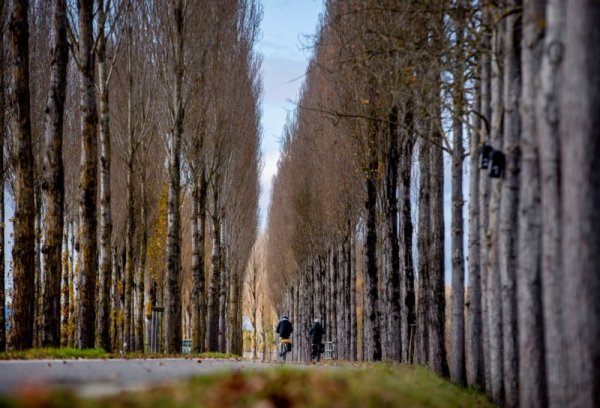 Двама души карат колело в приятната и сравнително топла ноемврийска утрин в германския град Констанц. Снимка: БТА